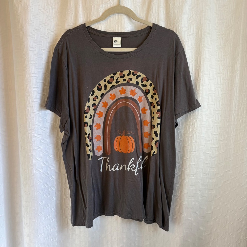 Lot of 2 Fall Graphic T-Shirts Womens 3XL Thankful Rainbow Leopard Pumpkin Tee - Picture 2 of 10